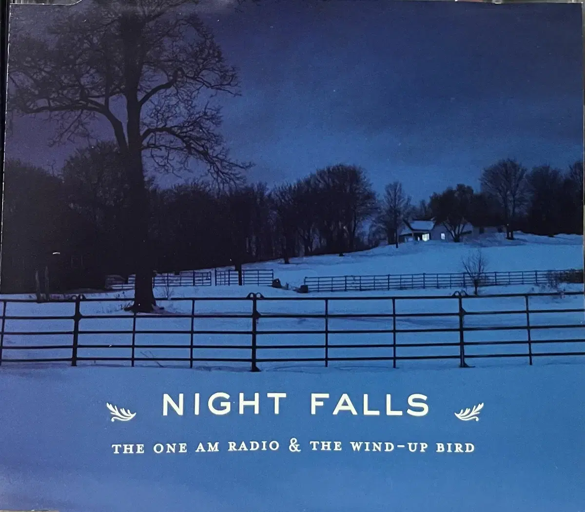 (CD) The One AM Radio Night Falls